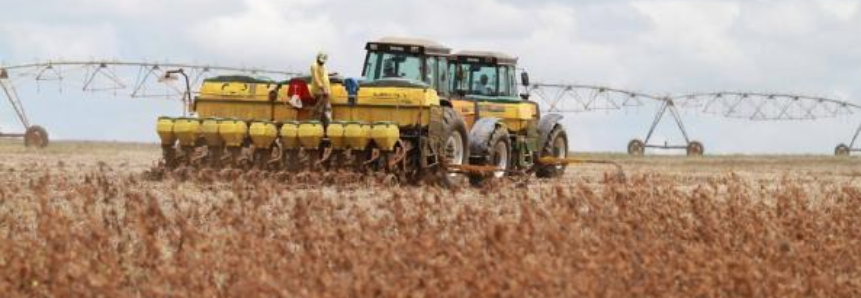Valor Bruto da Produção Agropecuária (VBP) deverá ser de R$541 bilhões, crescimento de 0,32% em relação a 2015