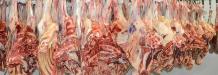 Área de fronteira de Mato Grosso do Sul é autorizada a exportar carne in natura para a UE