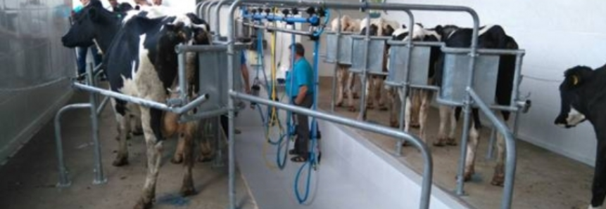 SENAR/SC promove curso de manejo de gado leiteiro com produtores de Araquari