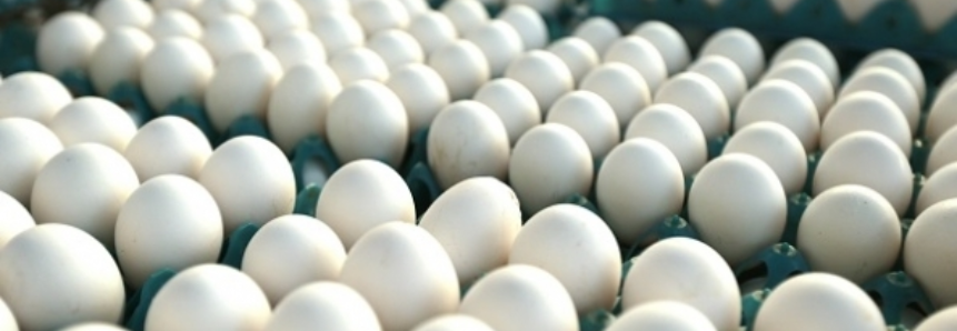 Preços dos ovos em alta