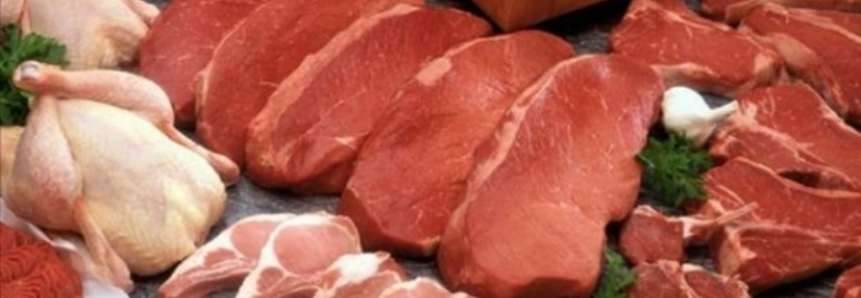 Desempenho externo das carnes na 2ª semana de fevereiro