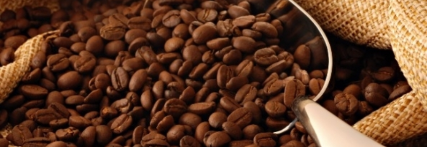 Exportações altas pressionam preços do café, diz OIC