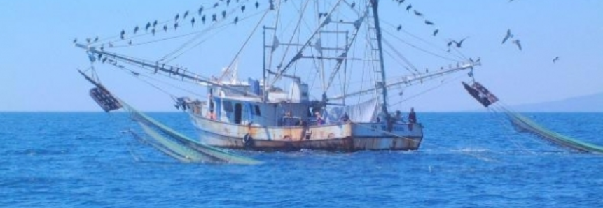 Ministério da Agricultura amplia licença pesqueira para três anos