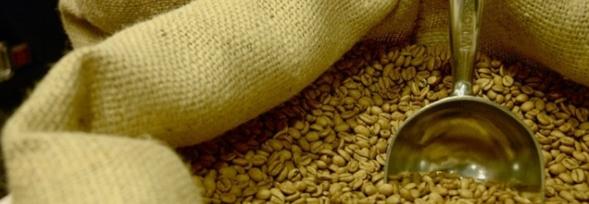 Exportação de café verde do Brasil em janeiro soma 2,38 mi sacas, diz Cecafé