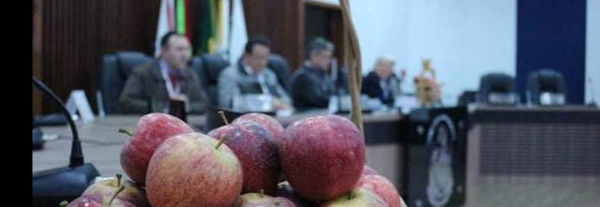 Dia de mercado da maçã apresenta custos de produção da atividade