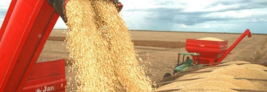 Minas tem expectativa de safra recorde de grãos neste ano