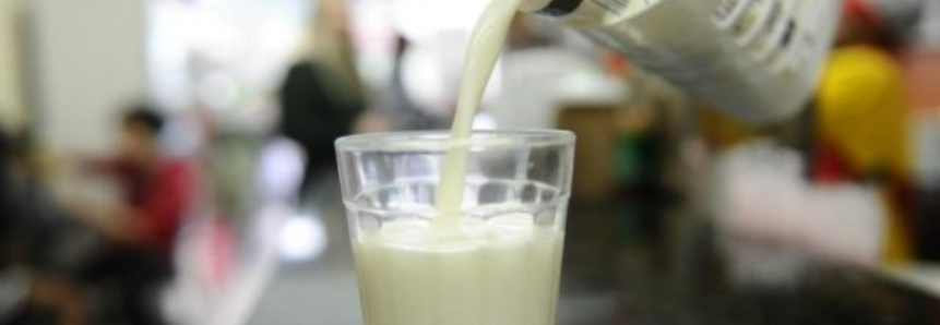 Pacote do setor de leite da UE poderá ser prorrogado para além de 2020