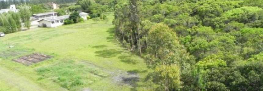Vegetação nativa preservada ocupa 61% da área do brasil, diz Embrapa