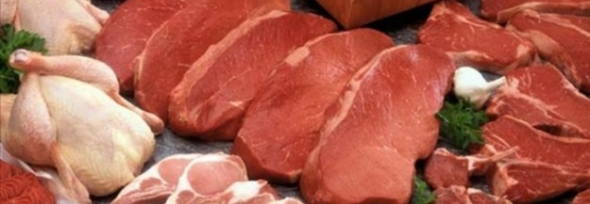 Exportações de carnes 'in natura' alcançam US$ 1 bilhão em janeiro