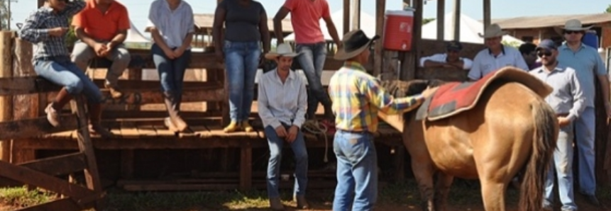 Curso de Doma Racional atrai jovens interessados em trabalhar com cavalos