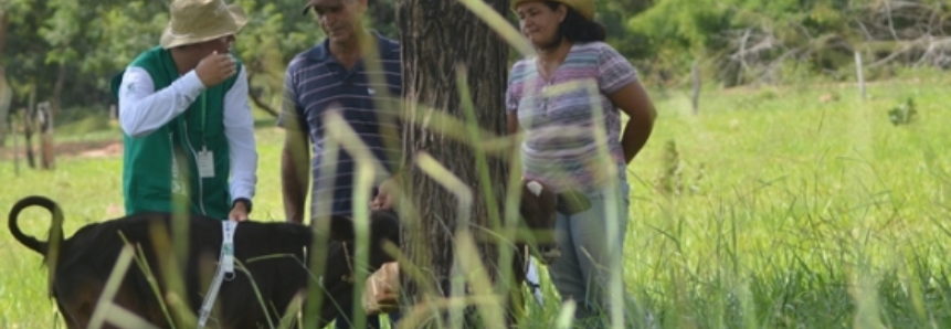 SENAR/MS oferecerá assistência para produtores de leite e hortifrutigranjeiros em Ponta Porã