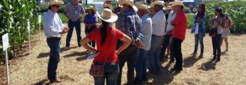 Caravanas com produtores de leite atendidos pelo Mais Leite participam da Dinapec 2016