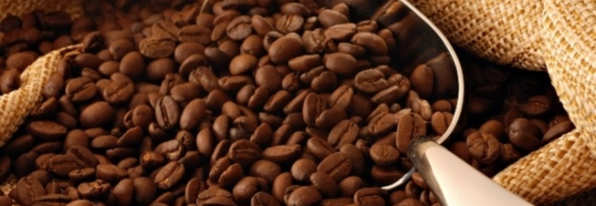 Safra de café robusta está comprometida no Espírito Santo