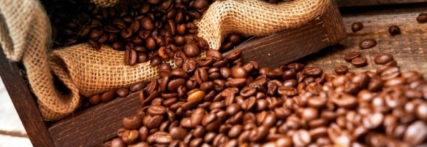 Demanda em alta mantém firme o preço do café arábica