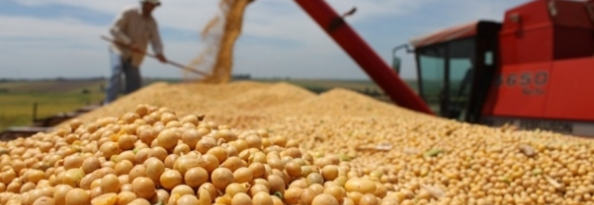 Boa produtividade da soja no Mato Grosso pode ajudar a reduzir perdas da pecuária