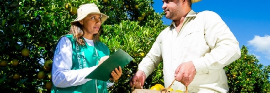 Agronegócio em alta no Brasil atrai jovens em busca de profissionalização