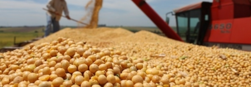 Excesso de chuva pode prejudicar o escoamento da soja no Mato Grosso do Sul