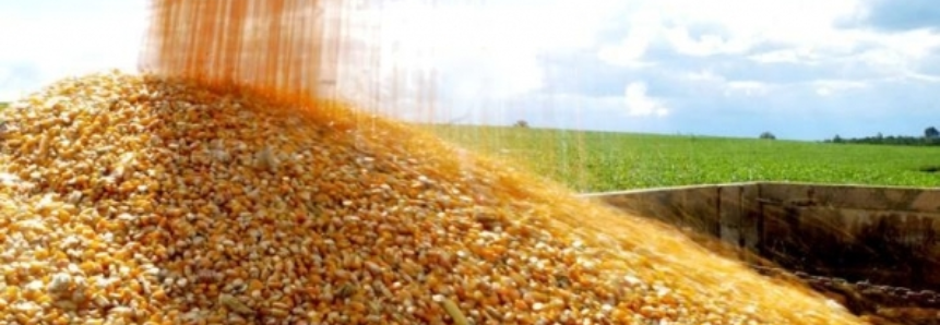 USDA anuncia venda de 110,4 mil t de milho para destinos não revelados