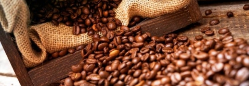 Safra brasileira de café corresponderá a 31,3% da produção global em 2017