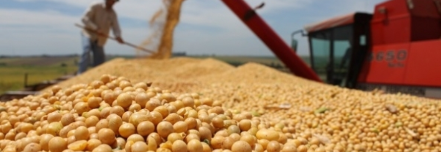 Processamento de soja nos EUA caiu 0,37% em dezembro
