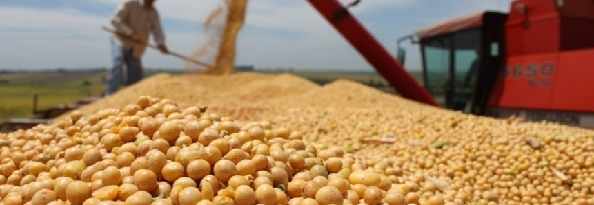Federação Argentina estima diminuição da safra de soja do país para 52 mi t
