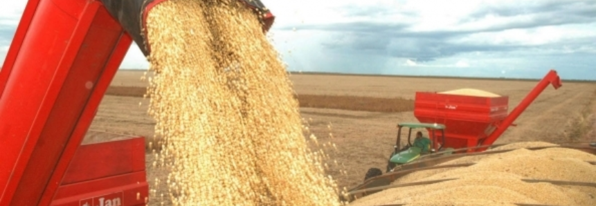Clima vai favorecer safra de grãos
