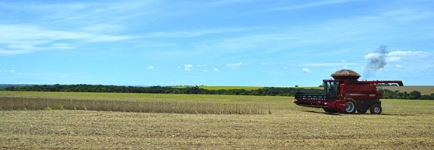 Colheita da soja atinge 10% em Mato Grosso do Sul, alcançando 240 mil hectares