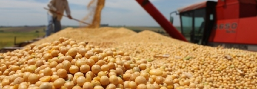 USDA reduz estoques e produção de soja nos EUA, com números abaixo do esperado