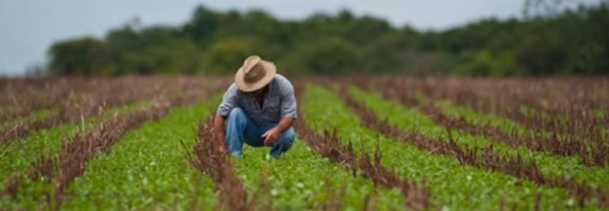 Estudo prevê aumento de 60% na produção agropecuária mundial nas próximas décadas