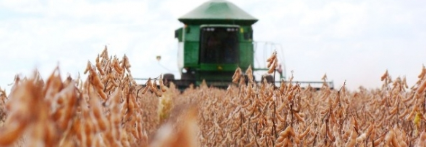Pela primeira vez, Mato Grosso do Sul sedia maior evento de colheita do País