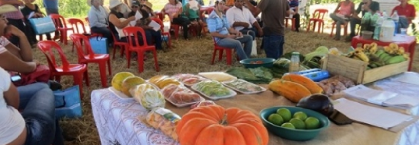 Produtores familiares assistidos pelo Hortifruti Legal conhecem programa de agricultura orgânica