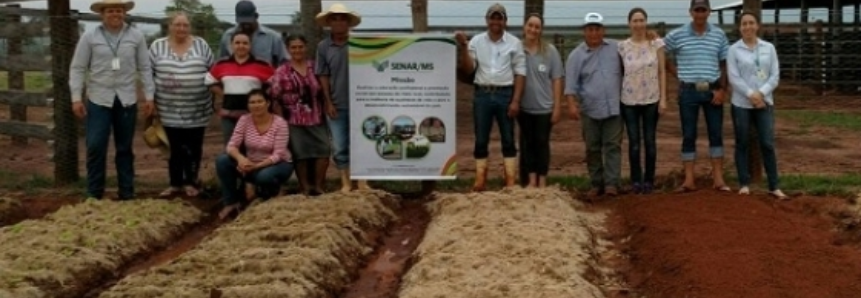 Curso de horta leva renda e qualidade de vida para vizinhos em Jateí (MS)