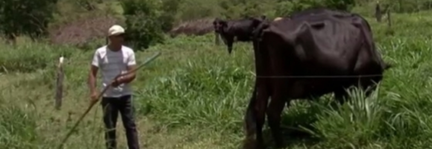 Com orientações do SENAR, produtores rurais baianos aumentam a renda