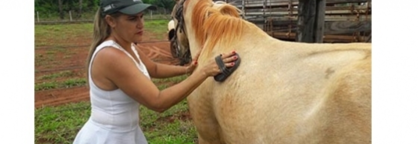 SENAR leva curso de Equitação para colaboradores da APAE do interior de Minas