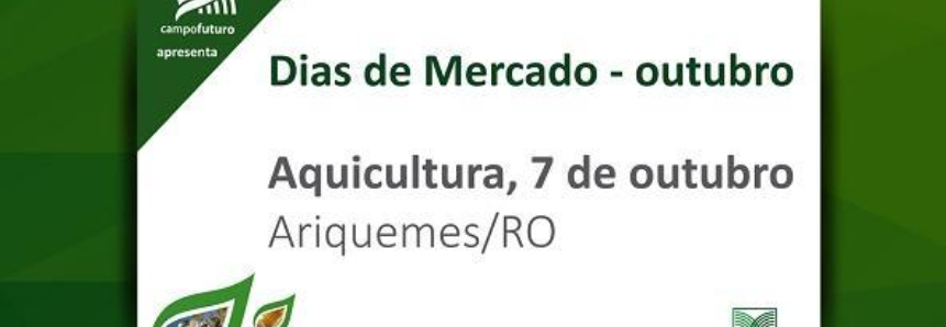 Crescimento da aquicultura depende de mais organização da cadeia produtiva