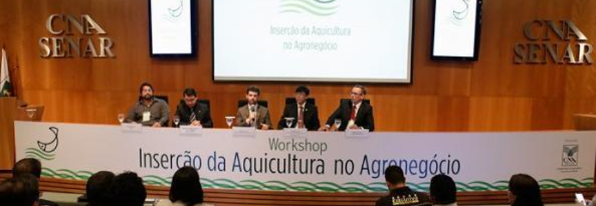 Pescado tem potencial para se tornar a principal proteína, no futuro