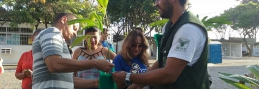 SENAR-PB comemora Dia da Árvore com distribuição de mudas na Paraíba Agronegócios