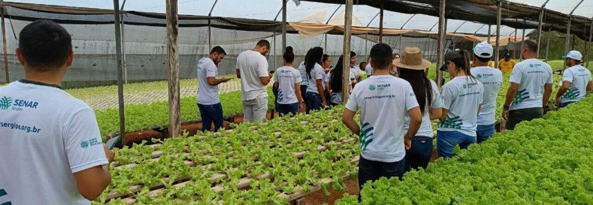 Alunos do Curso Técnico em Agronegócio do Senar Sergipe visitam produção de hortaliças hidropônicas