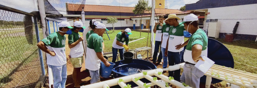 Cultivo hidropônico beneficia comunidades do interior de Mato Grosso