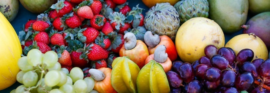 CNA debate impactos da Reforma Tributária para frutas, flores e hortaliças