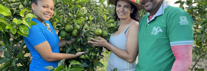 ATeG: produtores da fruticultura elevam a renda após aumento da produção