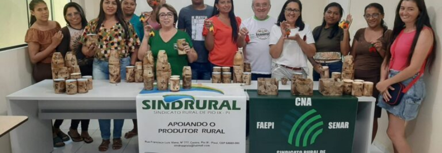 Sindicato Rural de Pio IX E Senar Piauí realizam curso com material reciclável