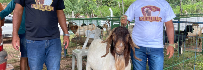 Festival do Bode celebra o sucesso da ovinocaprinocultura na região com apoio da ATeG do Senar Piauí