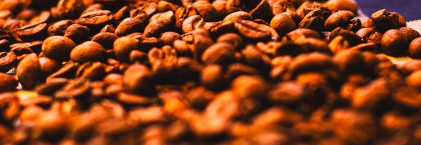 CNA debate desafios e estratégias para a cafeicultura