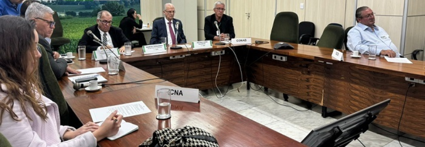 CNA participa de reuniões das Câmaras Setoriais de Borracha e de Milho e Sorgo