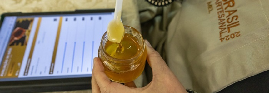 CNA realiza júri técnico para escolher melhores marcas de mel
