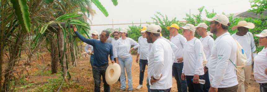 ​Em Humaitá, Senar Amazonas e Sebrae/AM realizam Dia de Campo com foco em fruticultura para produtores rurais assistidos pela ATeG