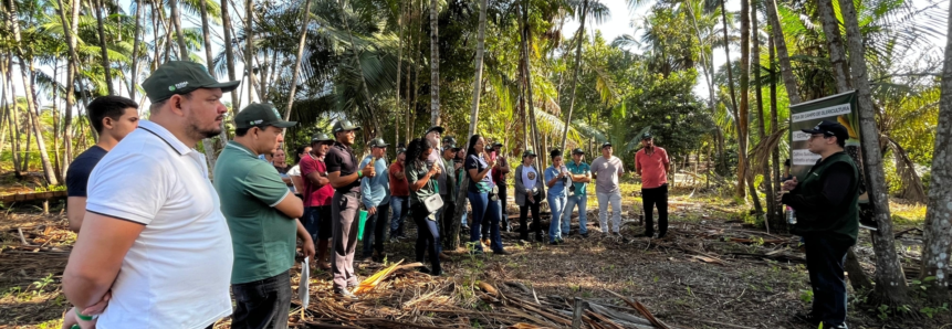 I Dia de Campo da Olericultura em Chapadinha apresenta caso de sucesso de Produtividade e Inovação