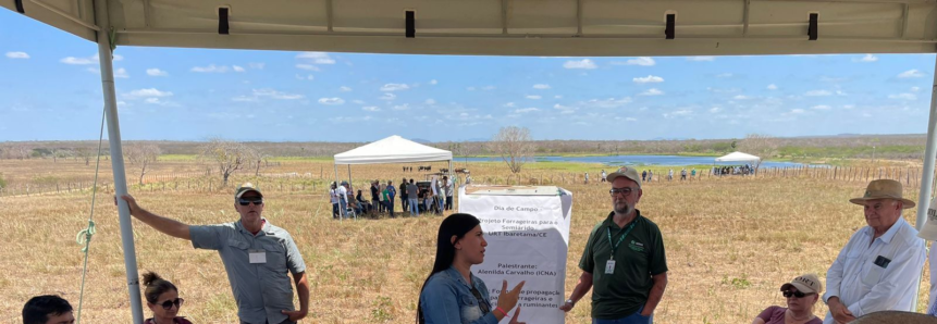 Sistema Faec/Senar e Instituto CNA promovem Dia de Campo do Projeto Forrageiras em Ibaretama