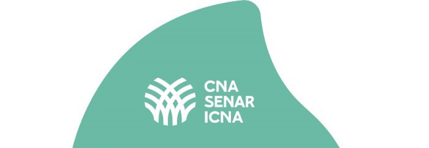 Na COP 29, CNA defenderá importância do agro para segurança alimentar e climática e novas metas de financiamento